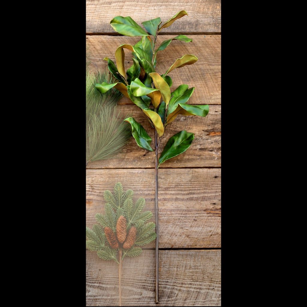 Estate Magnolia Branch