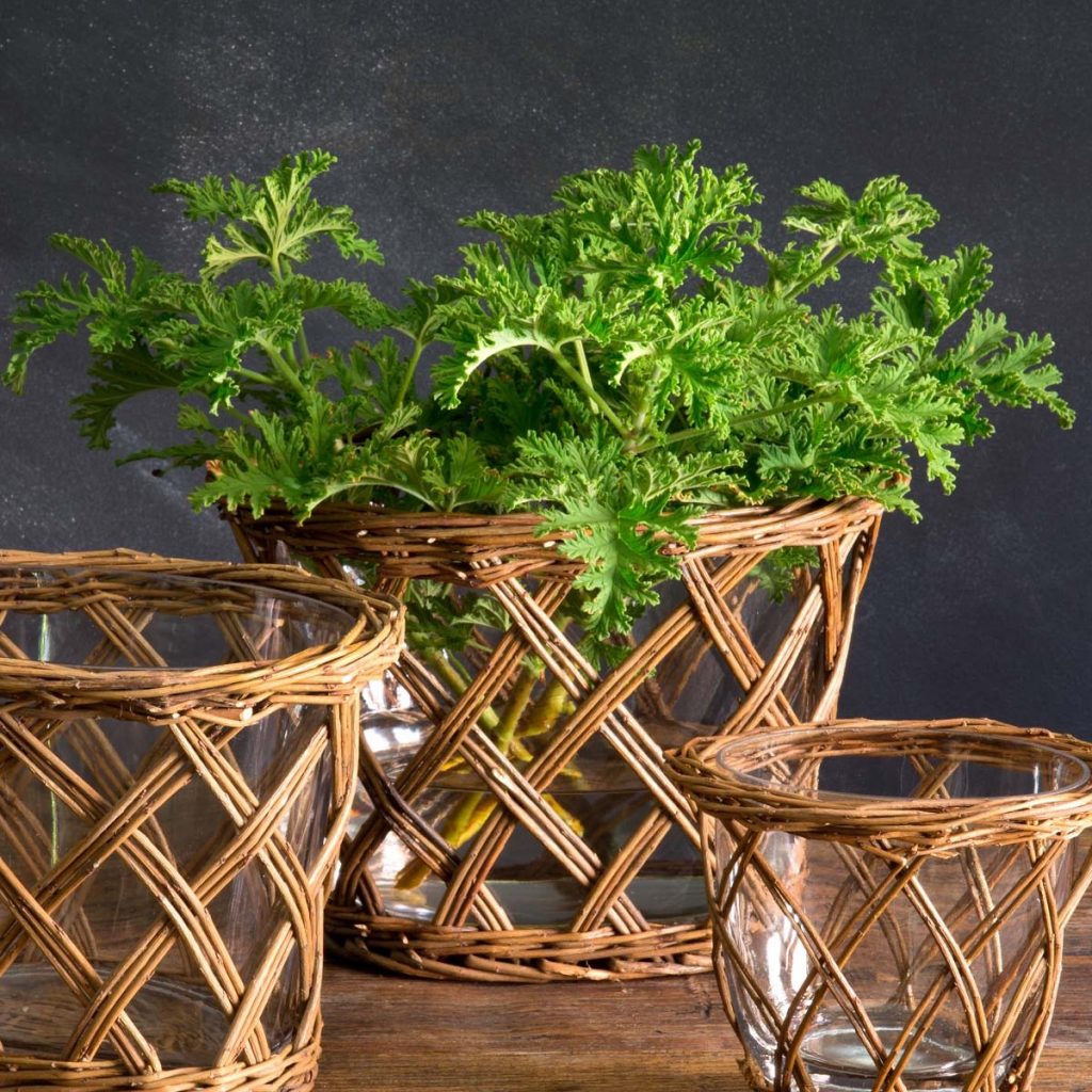 Oval Willow Vase, Large
