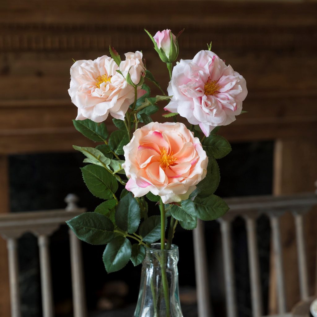 Garden Roses Pink