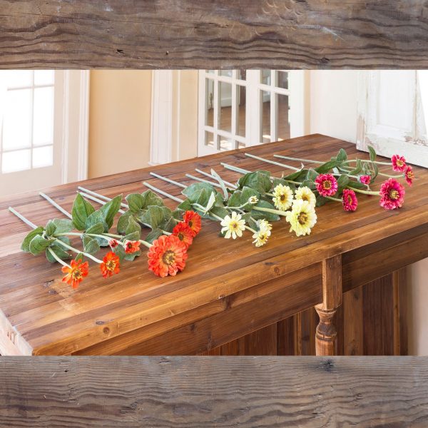 Zinnia Garnd Assortment