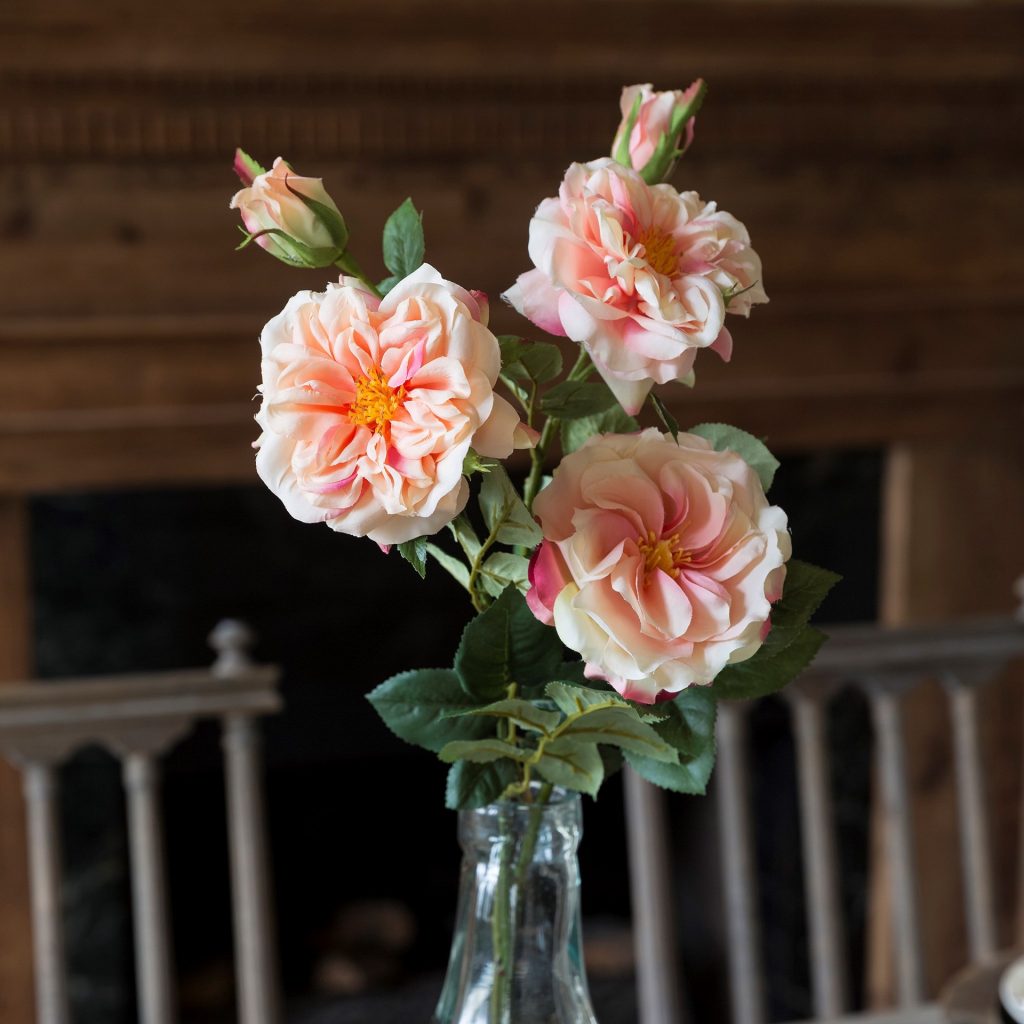 Garden Roses Peach