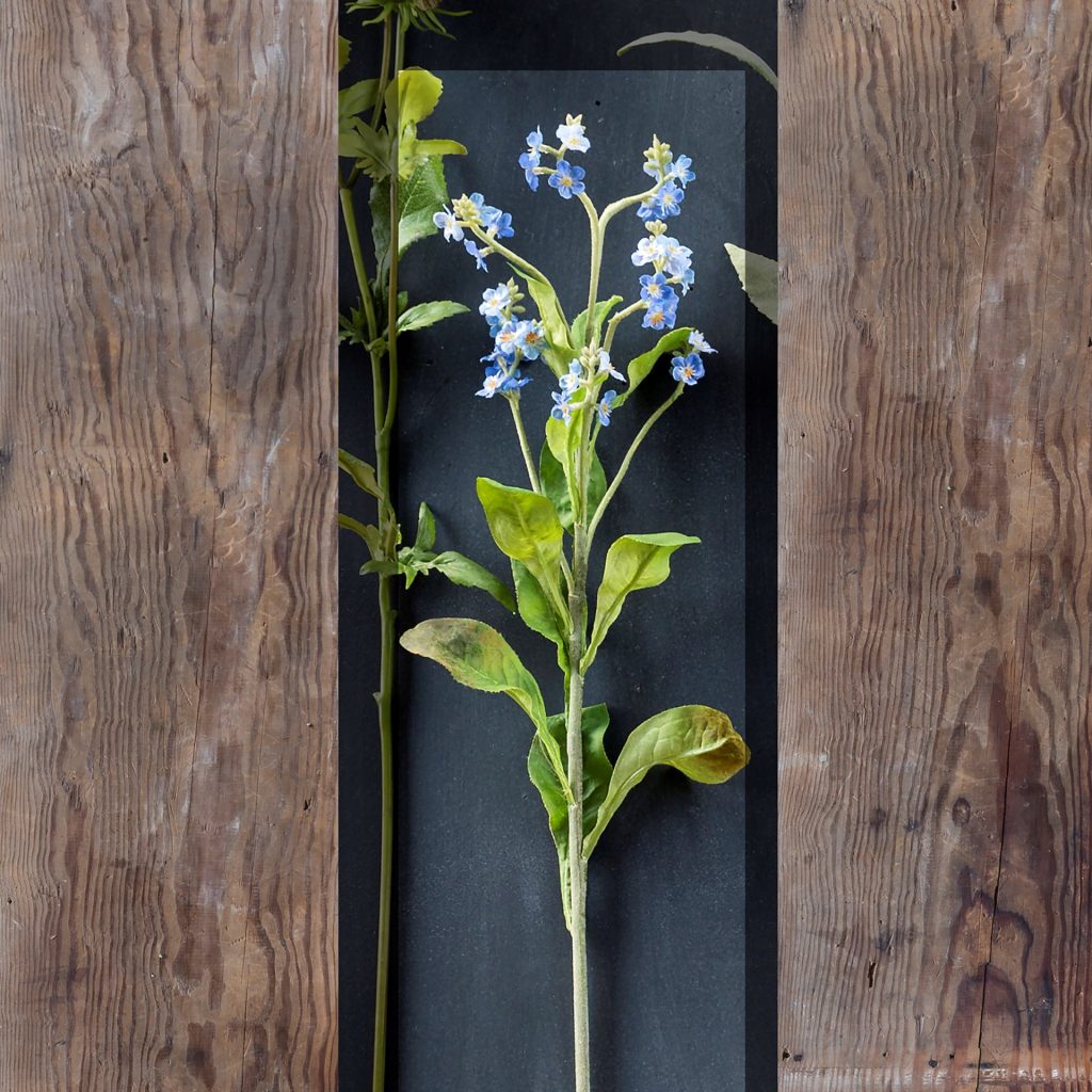 Crafted Forget me not stem