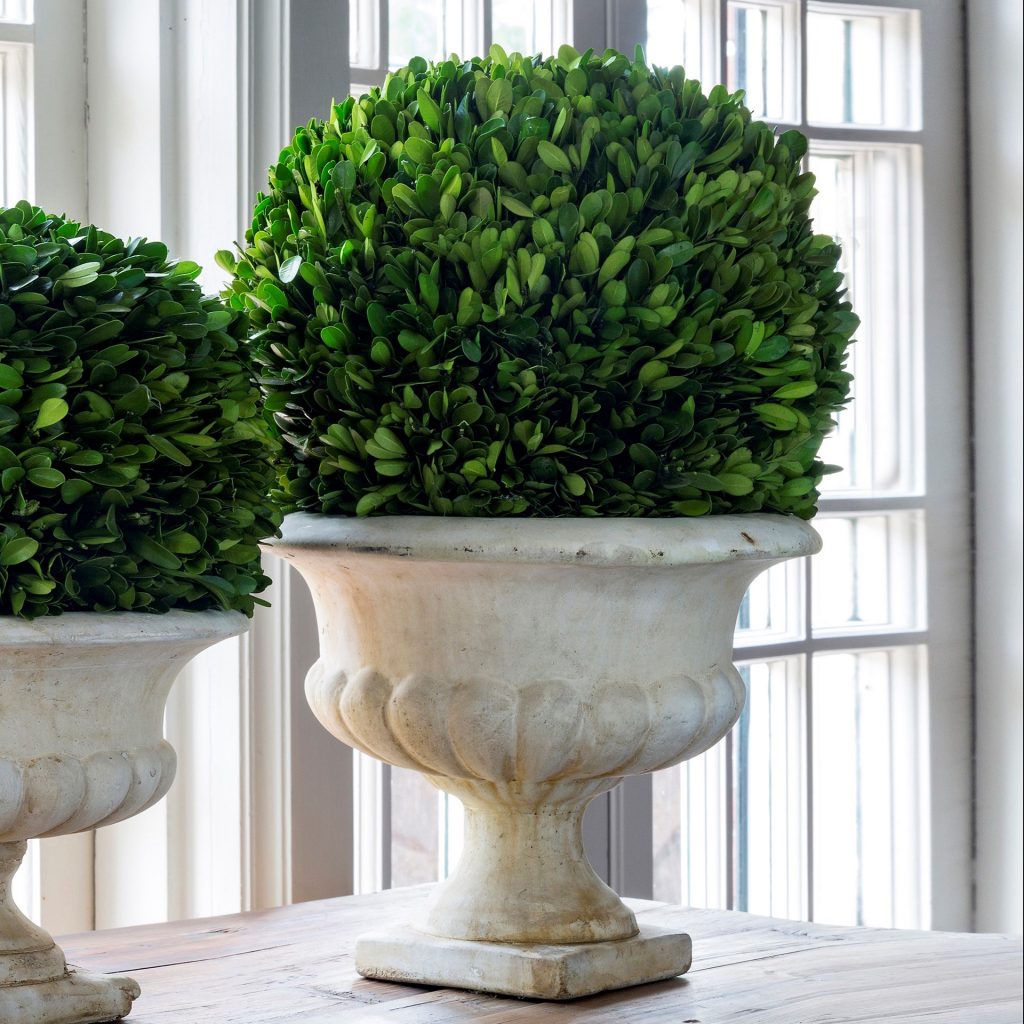 Large Classic Urn with Boxwood Ball