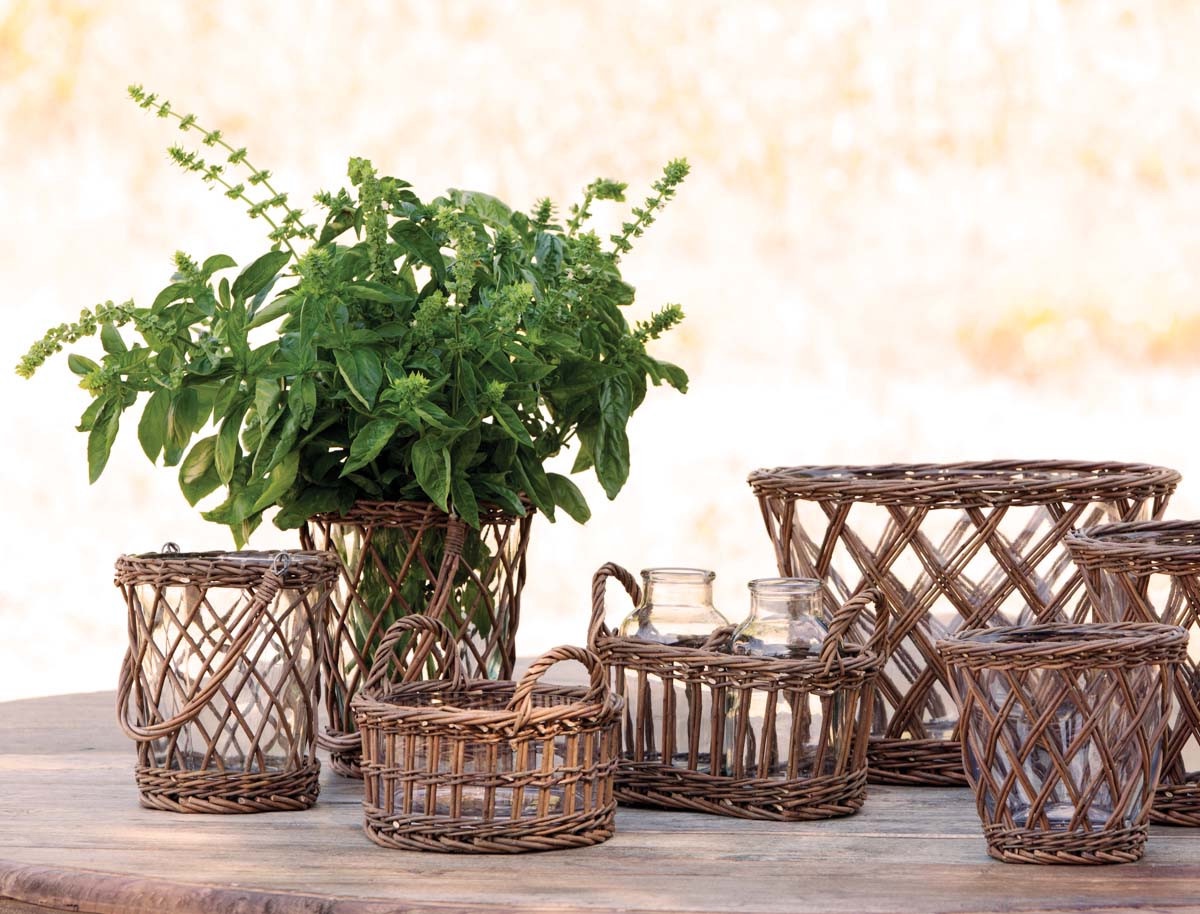 Tall Willow Vase with Handle Silkwood Living