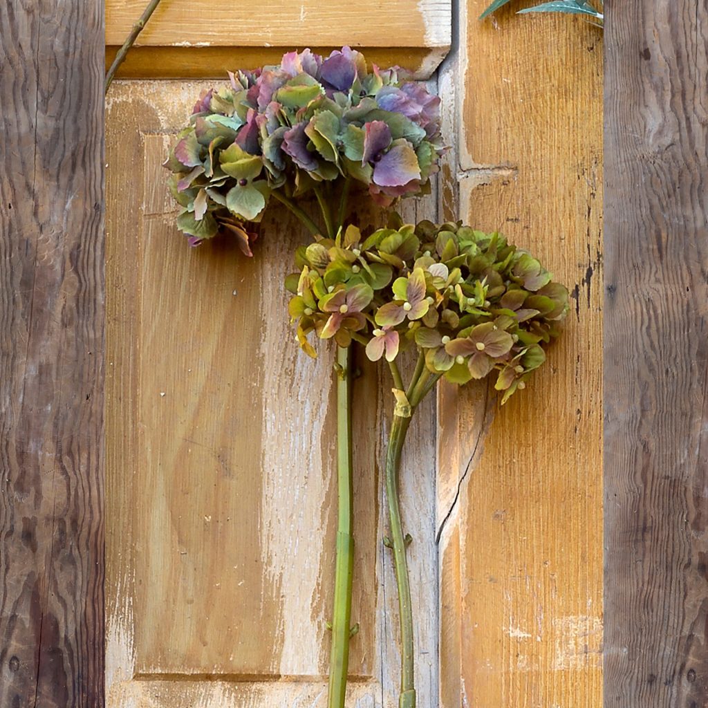 Garden Cut Hydrangea Assortment