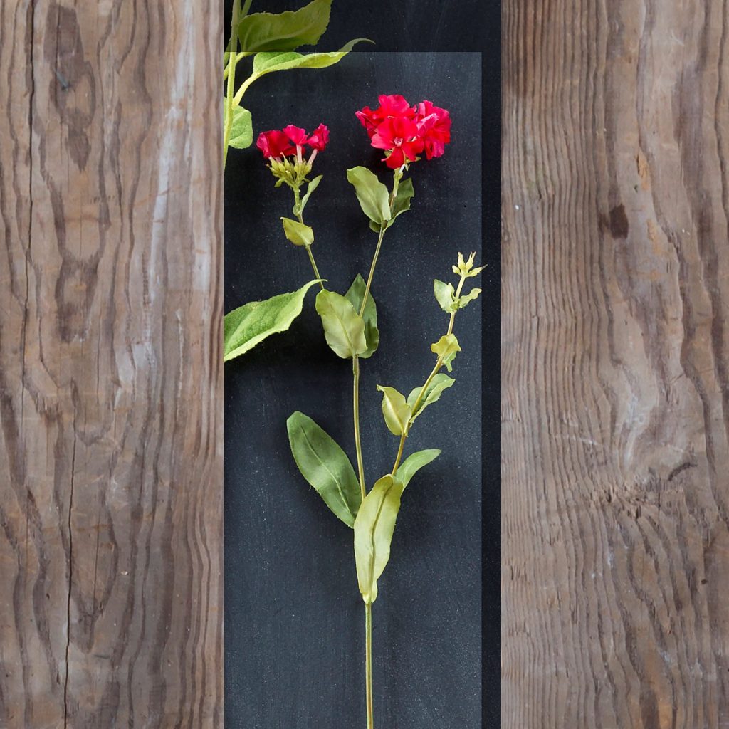 Crafted Phlox Stem