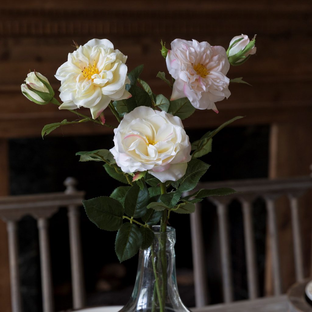 Garden Roses White