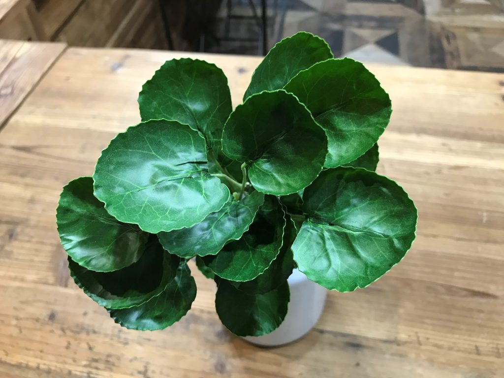 Mini Violet Leaves ( 3stem) -mid green