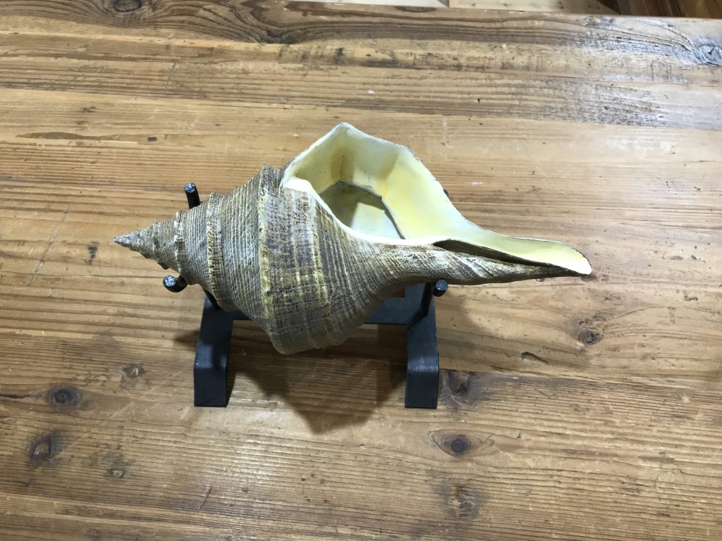 CONCH SHELL SCULPTURE-SMALL