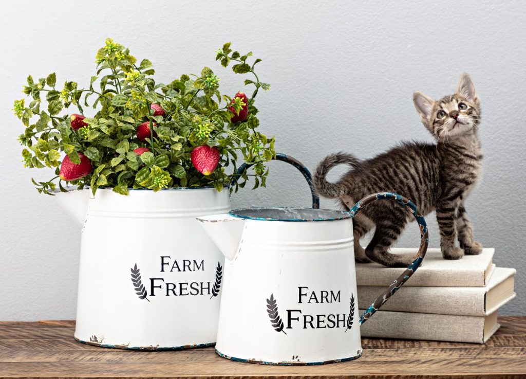 Farm Fresh Large Decorative Pitcher
