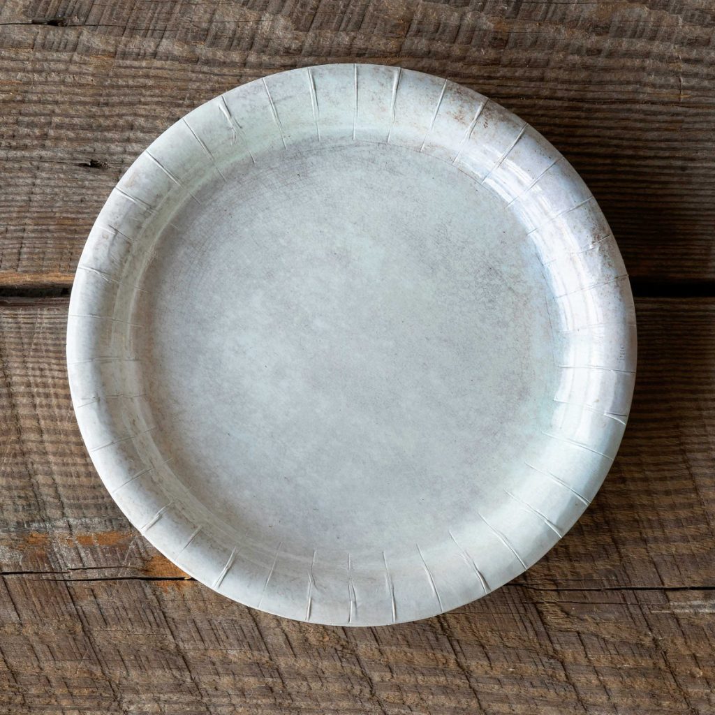 Aged Stoneware Paper Dinner Plates, 10″