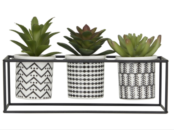Succulent Plant in Tribal Pots Inside Black Metal Stand
