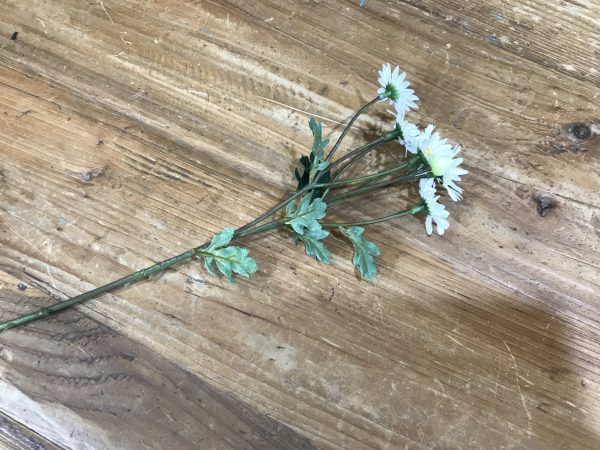 Miniature Daisy Spray