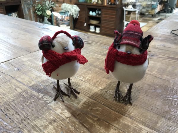 BIRD WITH SCARF AND HAT (2 ASSORT)